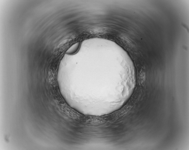 X0000101680917200807311515