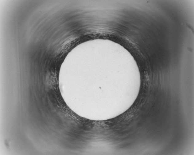 X0000101680918200807311515