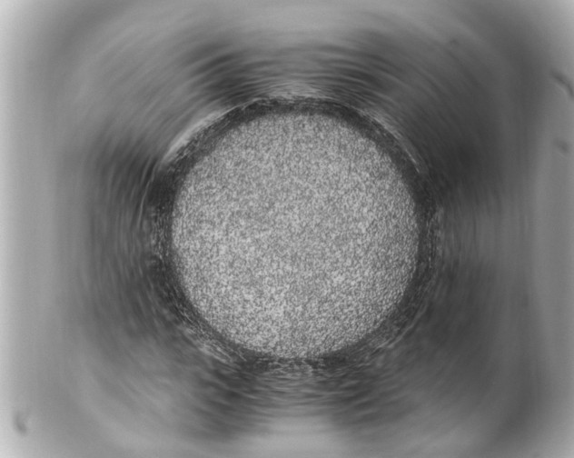 X0000101680919200807311515