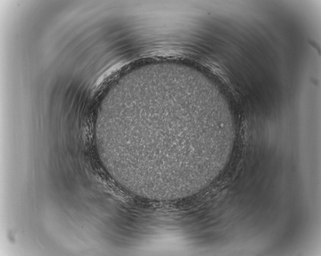 X0000101680920200807311515