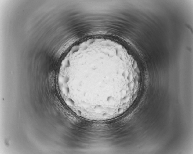 X0000101680921200807311515