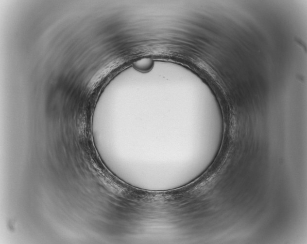 X0000101680922200807311515