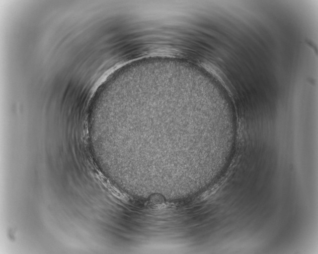 X0000101680923200807311515