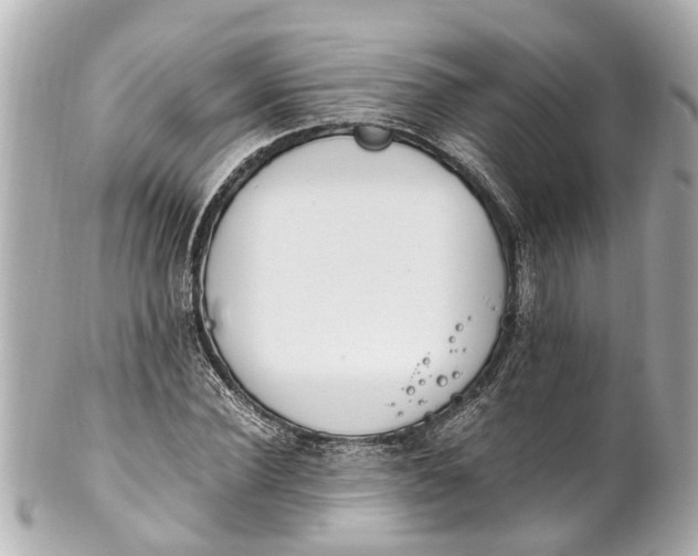 X0000101680924200807311515