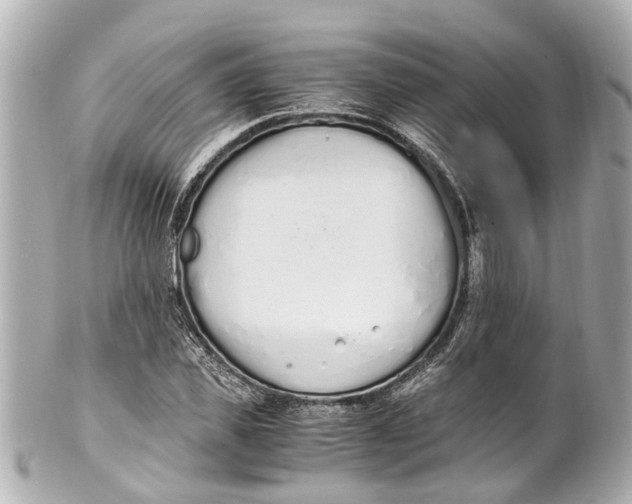 X0000101680925200807311516