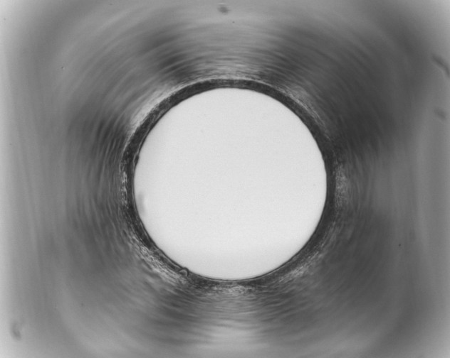 X0000101680926200807311516