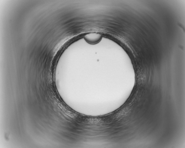 X0000101680927200807311516