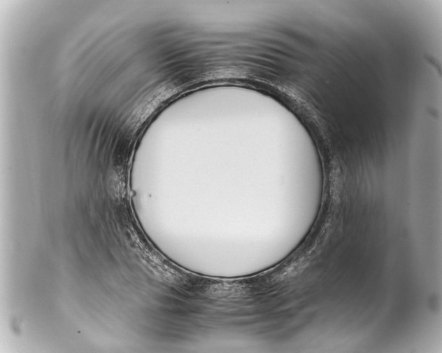 X0000101680929200807311516