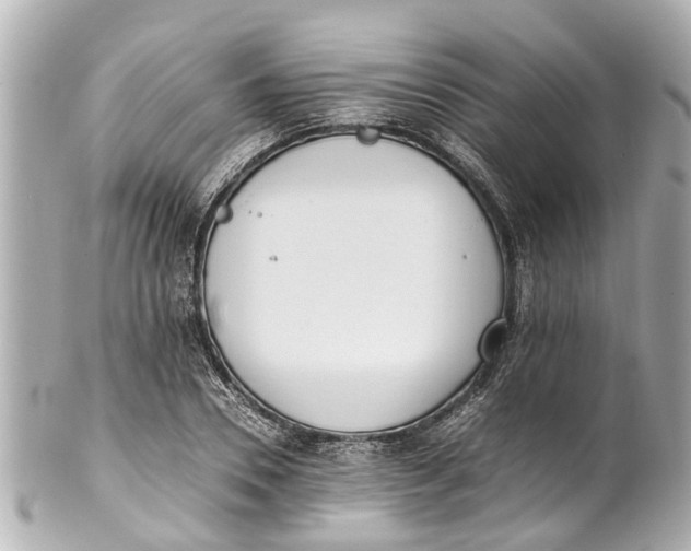 X0000101680930200807311516