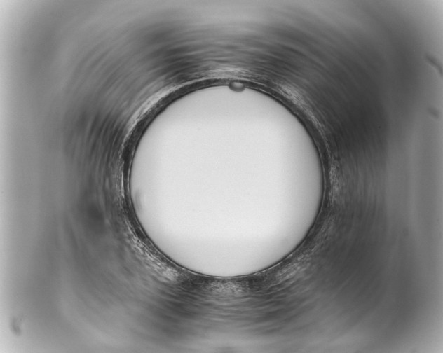 X0000101680931200807311516