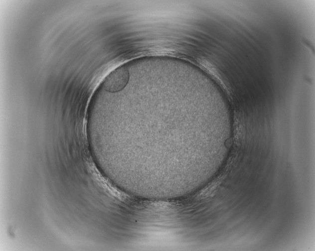 X0000101680932200807311516