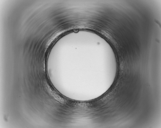 X0000101680934200807311516