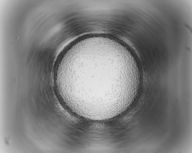 X0000101680935200807311516