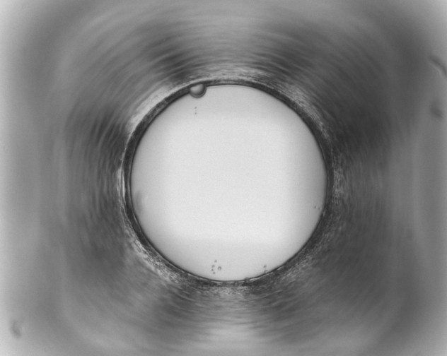 X0000101680936200807311516