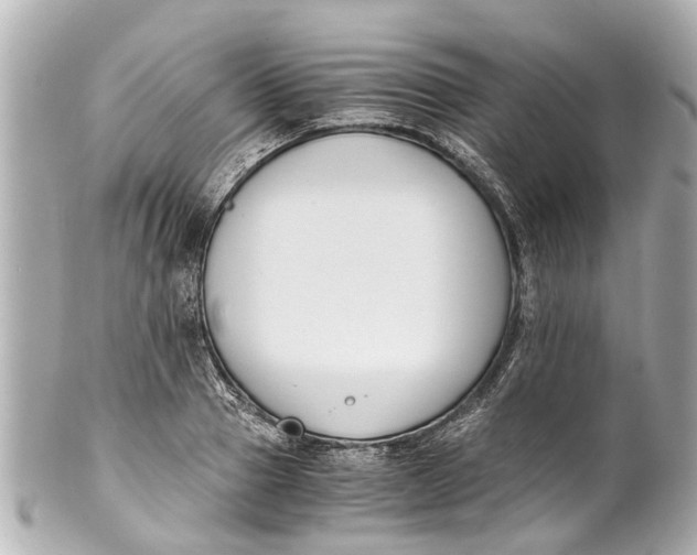 X0000101680937200807311516