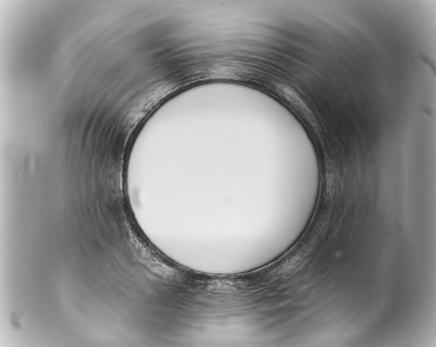 X0000101680938200807311516