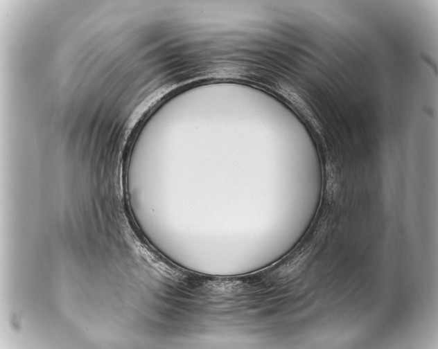 X0000101680939200807311516