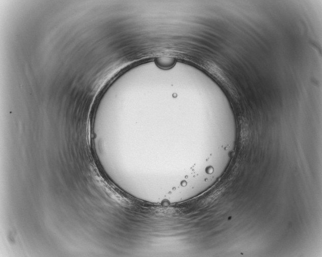 X0000101680940200807311516