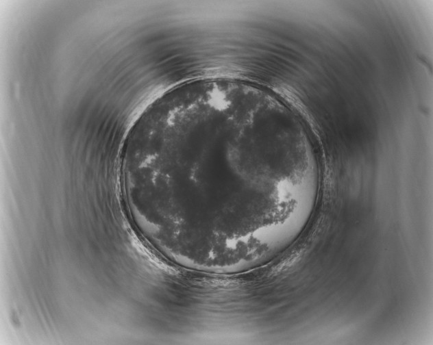 X0000101680941200807311516