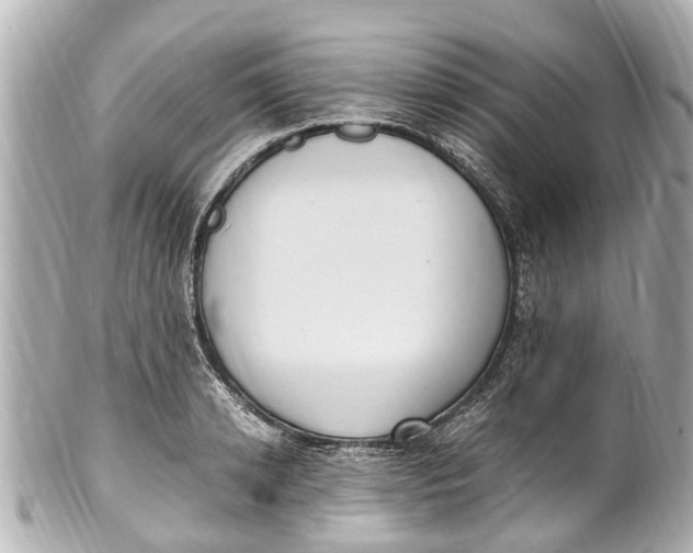 X0000101680942200807311516