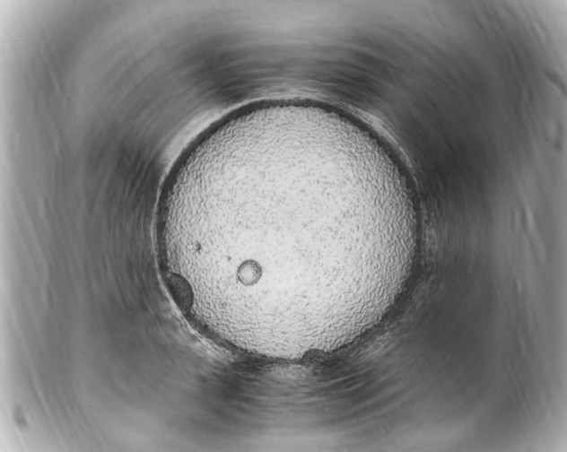 X0000101680943200807311516