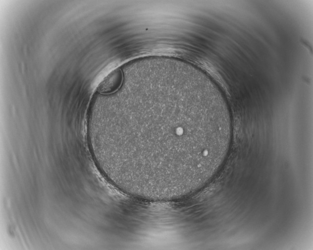 X0000101680944200807311516