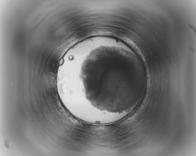 X0000101680945200807311516