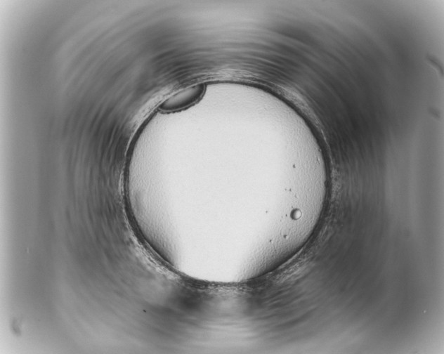 X0000101680946200807311516