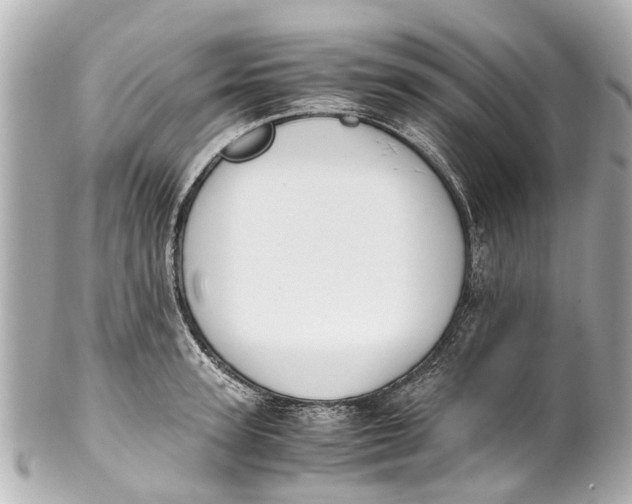 X0000101680947200807311516