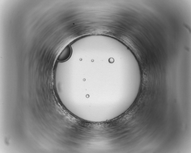 X0000101680948200807311516