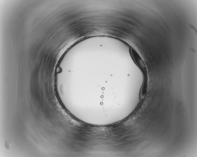 X0000101680949200807311516