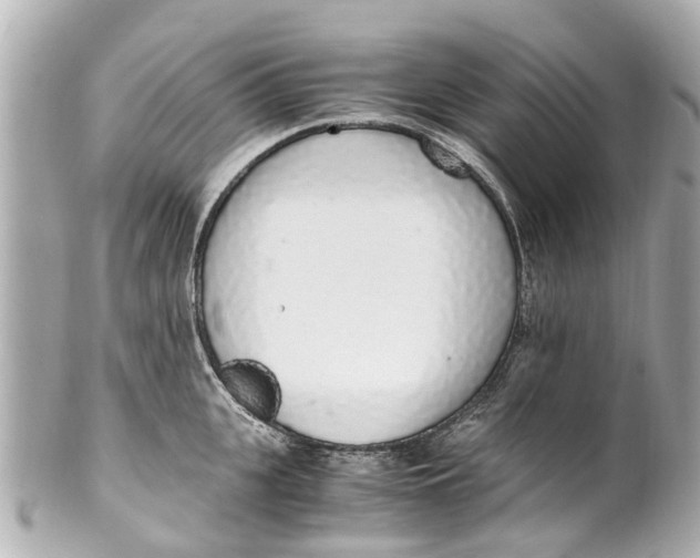 X0000101680951200807311516