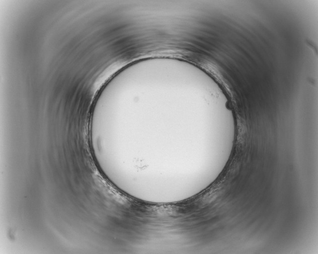 X0000101680952200807311516