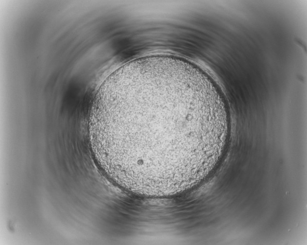 X0000101680953200807311516