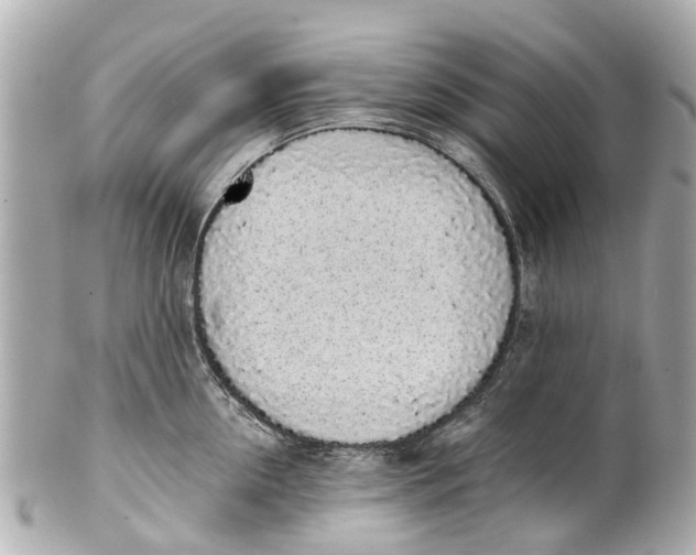 X0000101680954200807311516