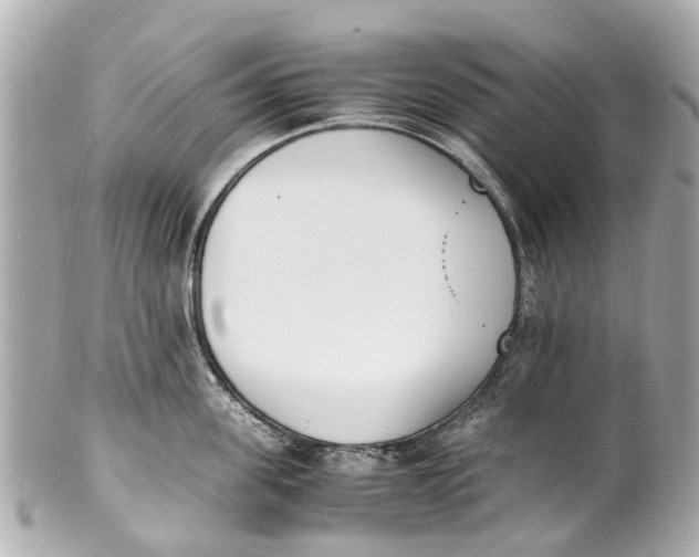 X0000101680955200807311516