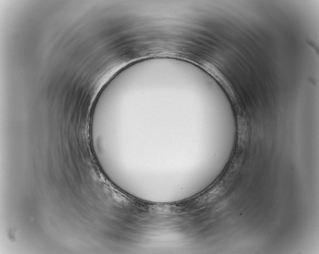 X0000101680956200807311516