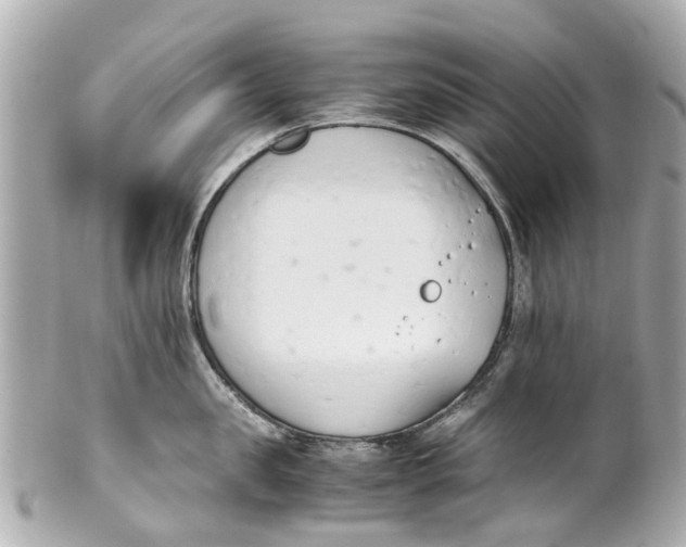 X0000101680957200807311516