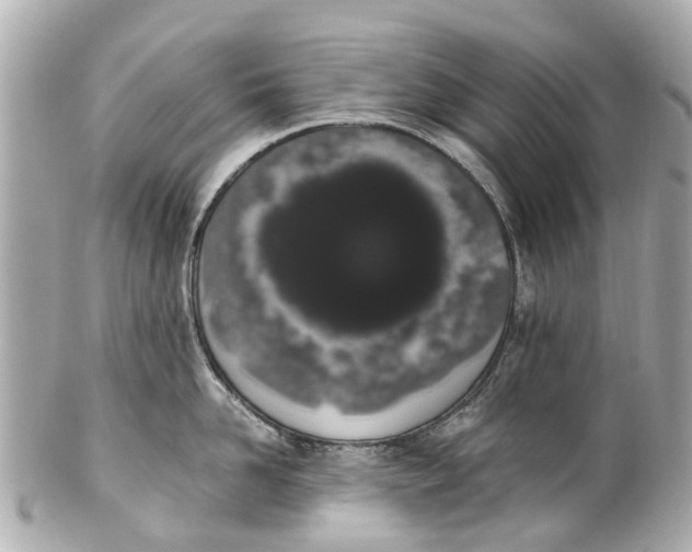 X0000101680958200807311516