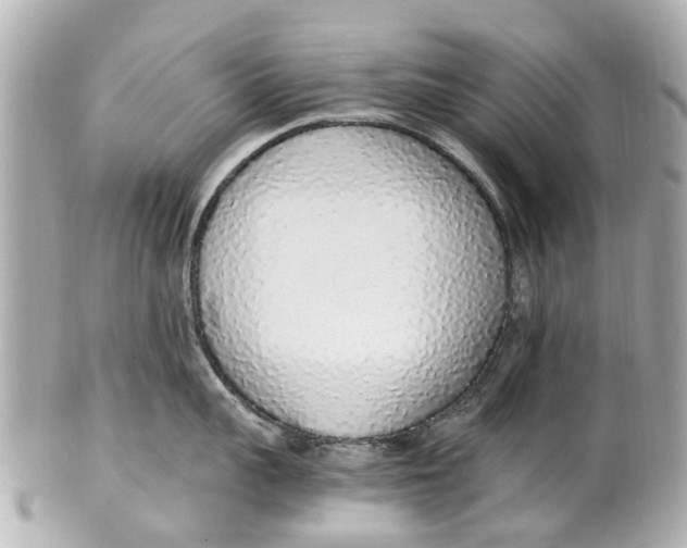 X0000101680959200807311516