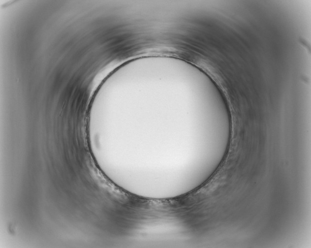 X0000101680960200807311516