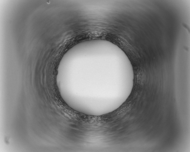 X0000101680961200807311515