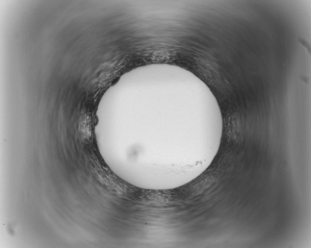 X0000101680962200807311515