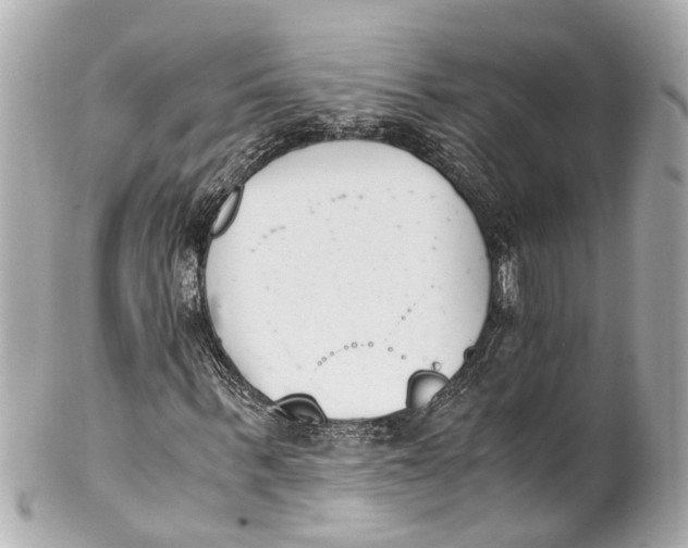 X0000101680963200807311515