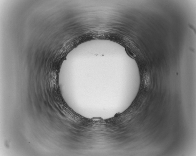 X0000101680964200807311515