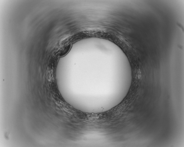 X0000101680965200807311515