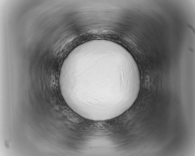 X0000101680966200807311515