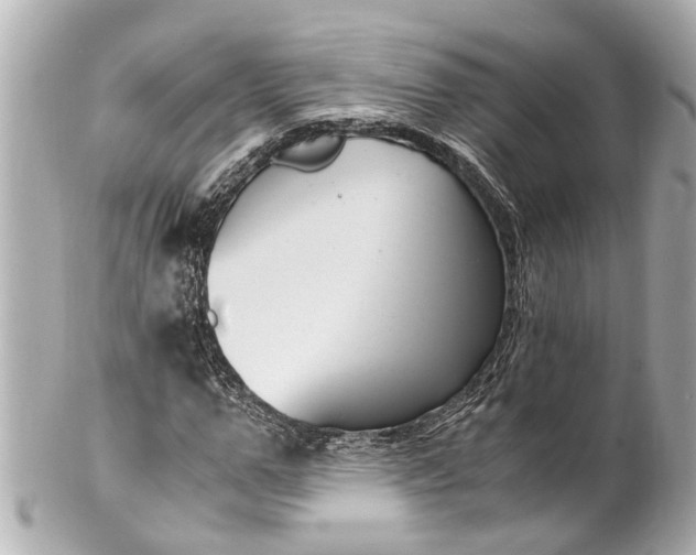 X0000101680967200807311515