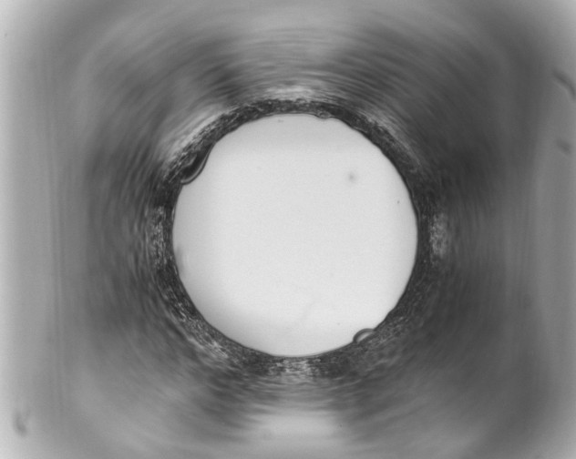 X0000101680968200807311515