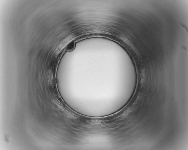 X0000101680969200807311515